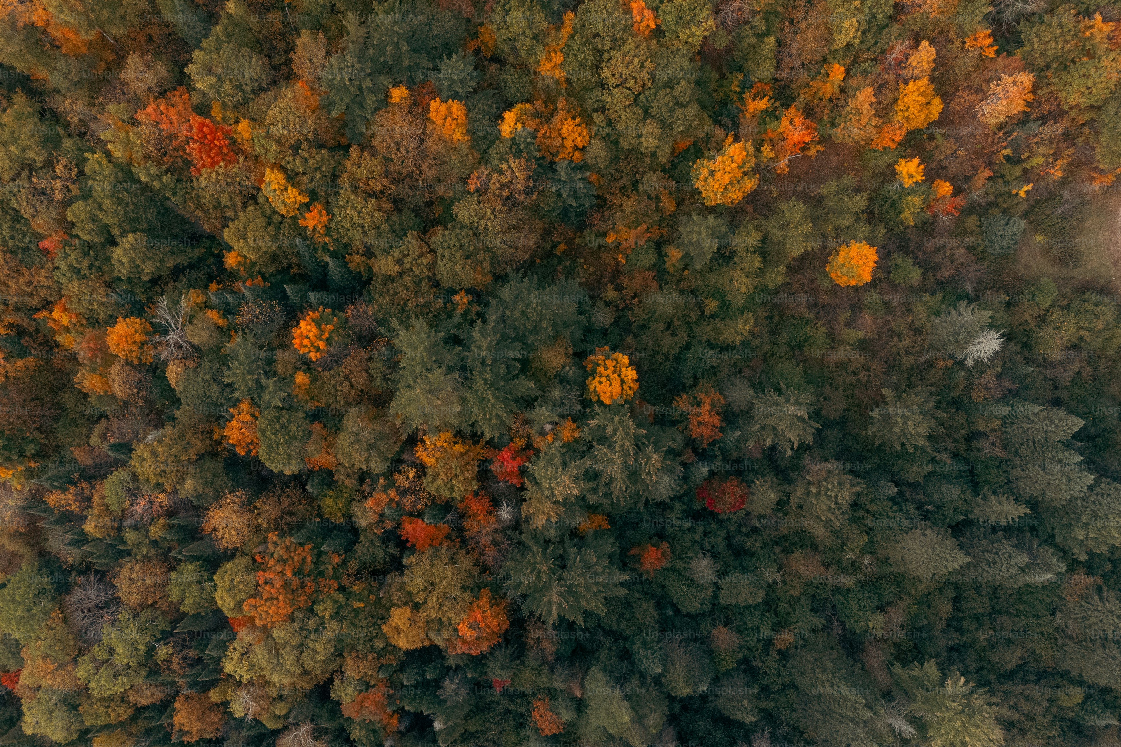 Nuestro Portafolio de Filmación con Drone 2